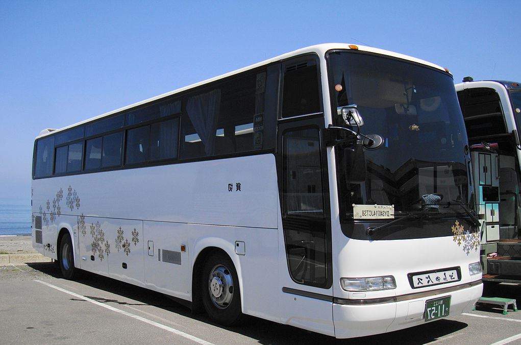 buses